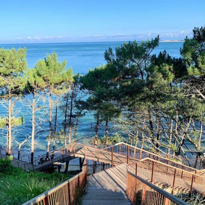 La Petite Suzette, A 2Min A Pied De La Plage ! Lanton Kültér fotó